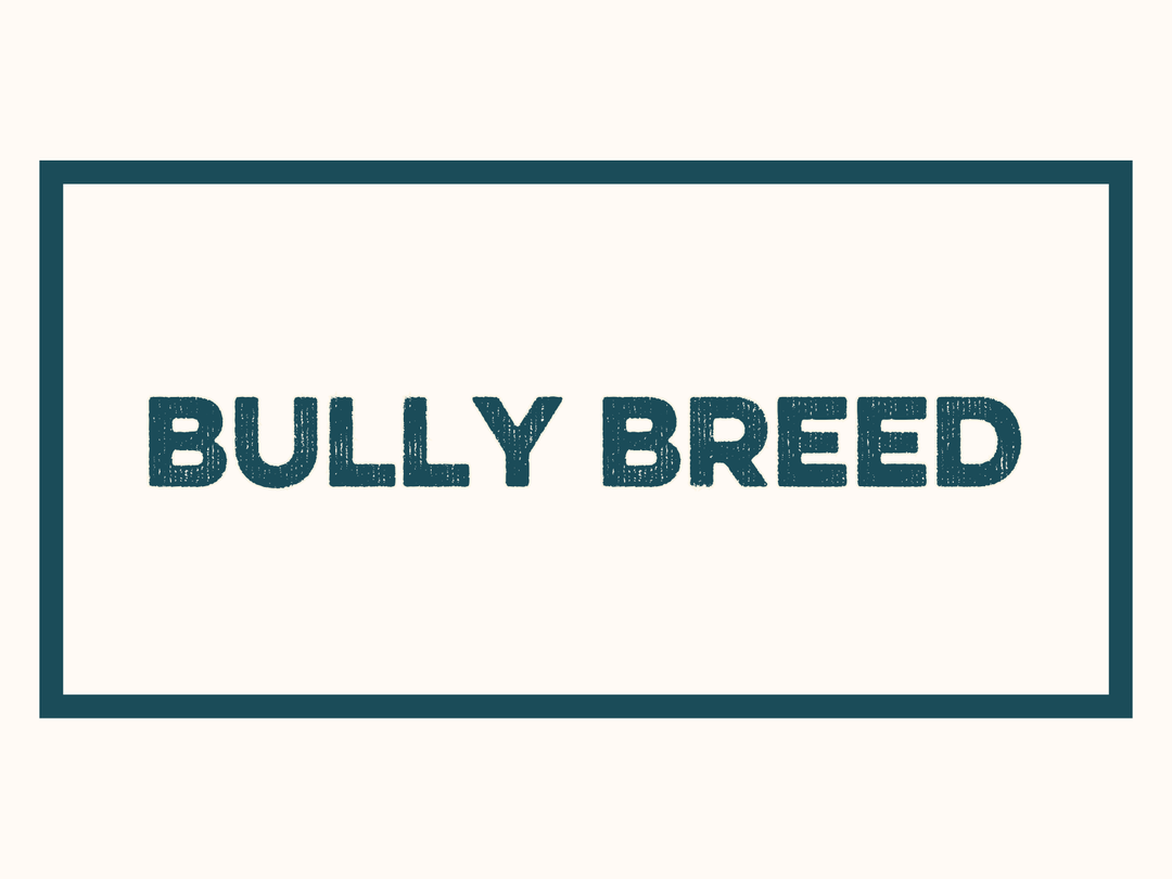Bully Breed