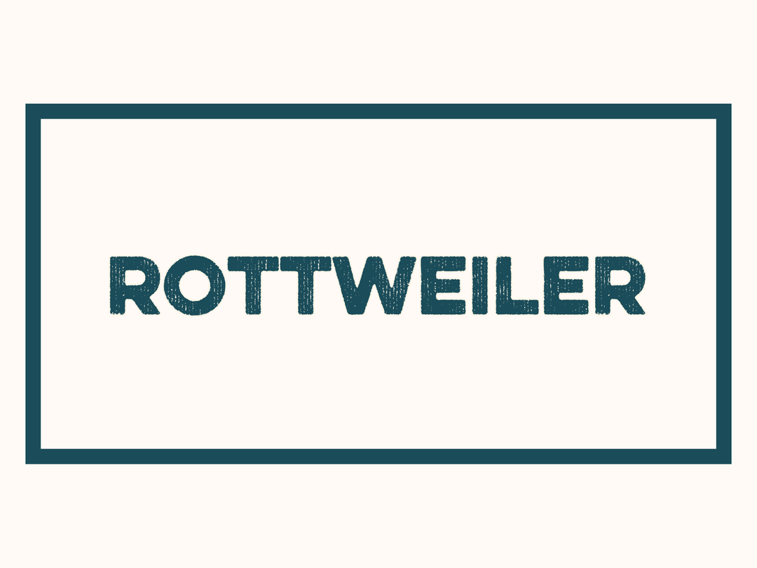 Rottweiler