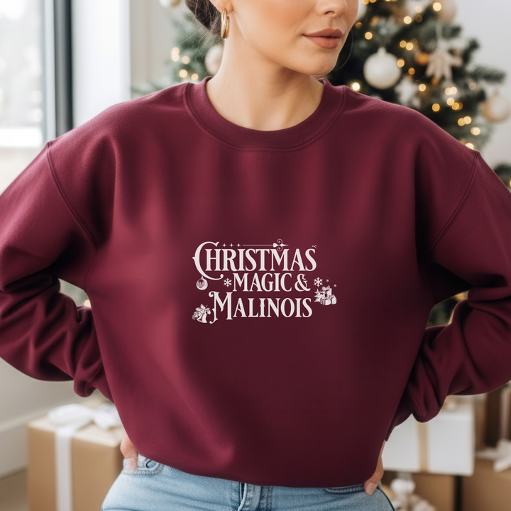 Christmas Magic & Malinois